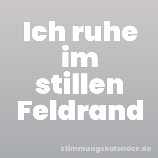 Ich ruhe im stillen Feldrand