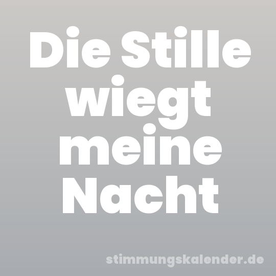 Die Stille wiegt meine Nacht