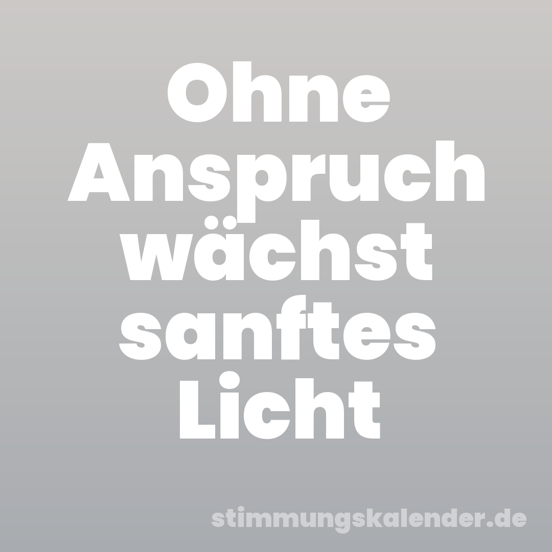 Ohne Anspruch wächst sanftes Licht