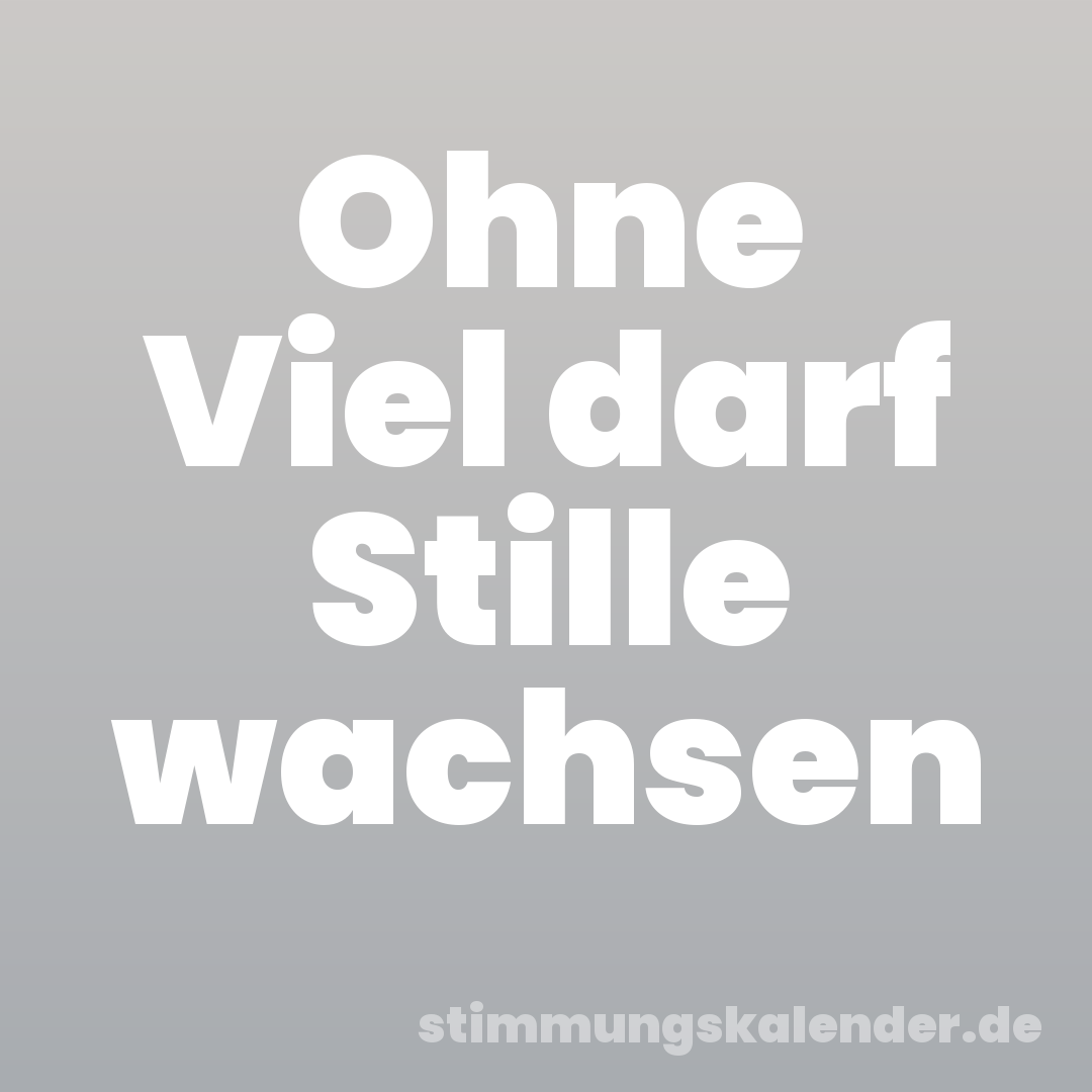 Ohne Viel darf Stille wachsen