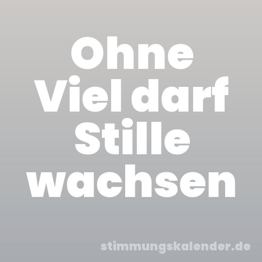 Ohne Viel darf Stille wachsen