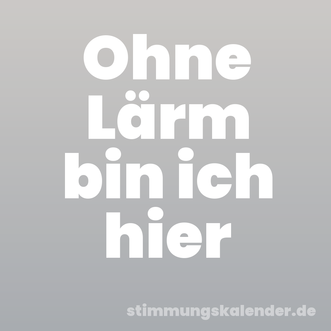 Ohne Lärm bin ich hier