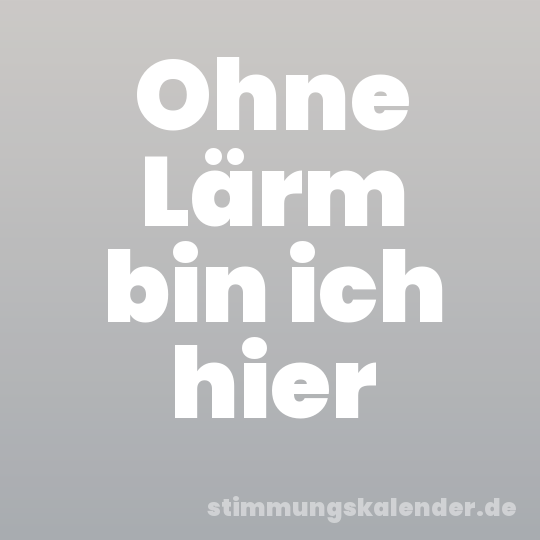 Ohne Lärm bin ich hier