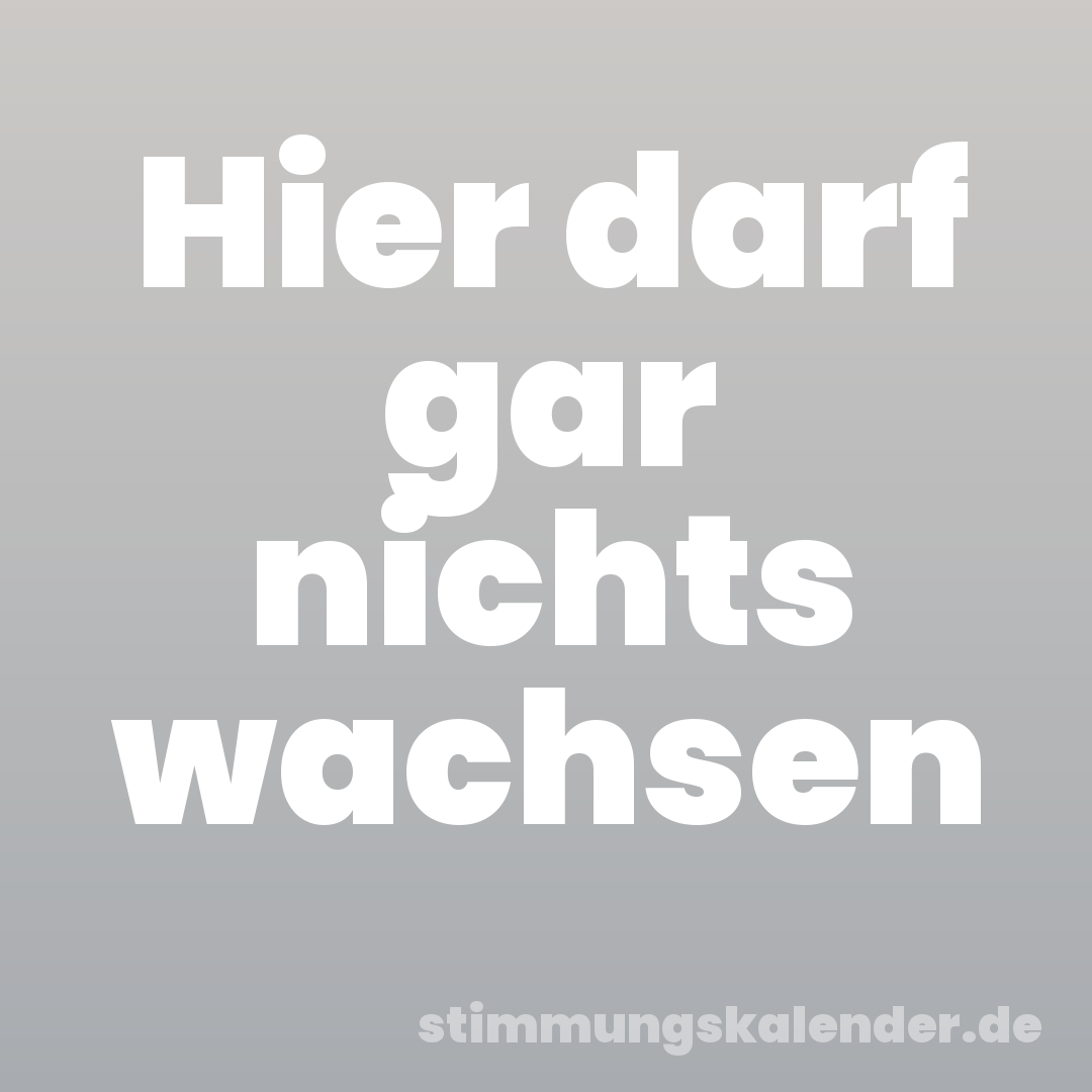 Hier darf gar nichts wachsen