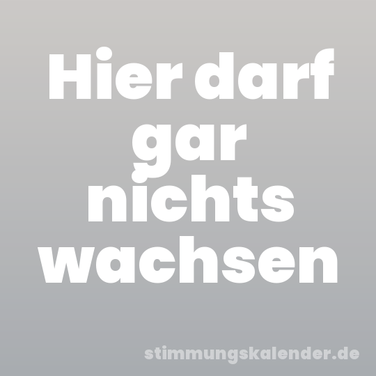 Hier darf gar nichts wachsen