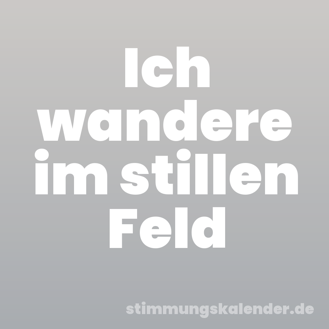 Ich wandere im stillen Feld