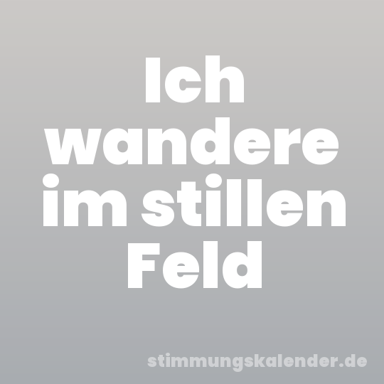 Ich wandere im stillen Feld