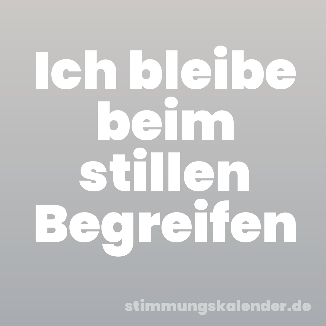 Ich bleibe beim stillen Begreifen
