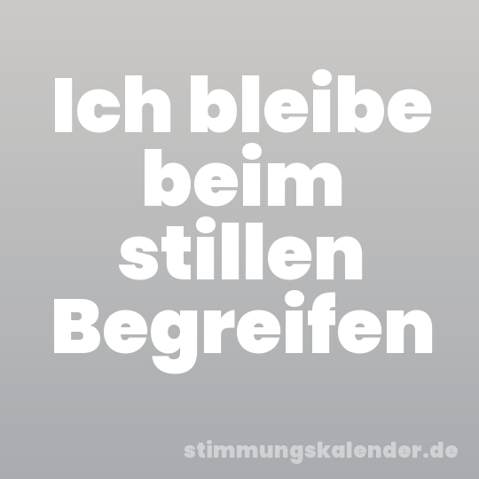 Ich bleibe beim stillen Begreifen