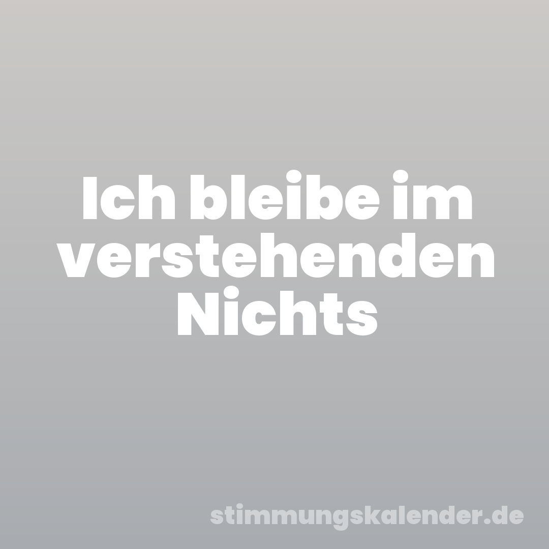 Ich bleibe im verstehenden Nichts