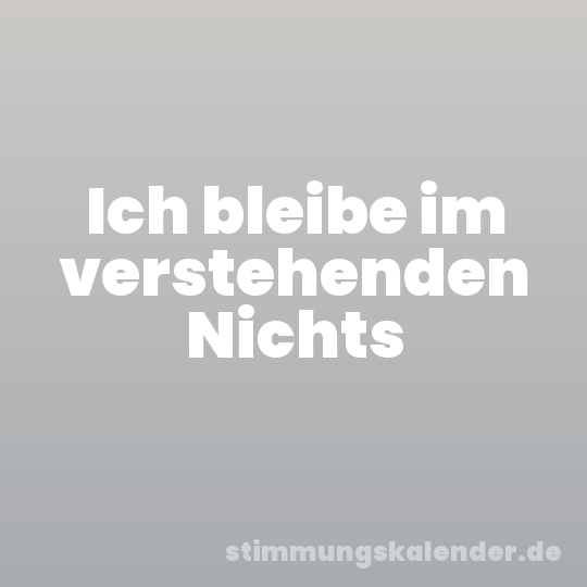 Ich bleibe im verstehenden Nichts