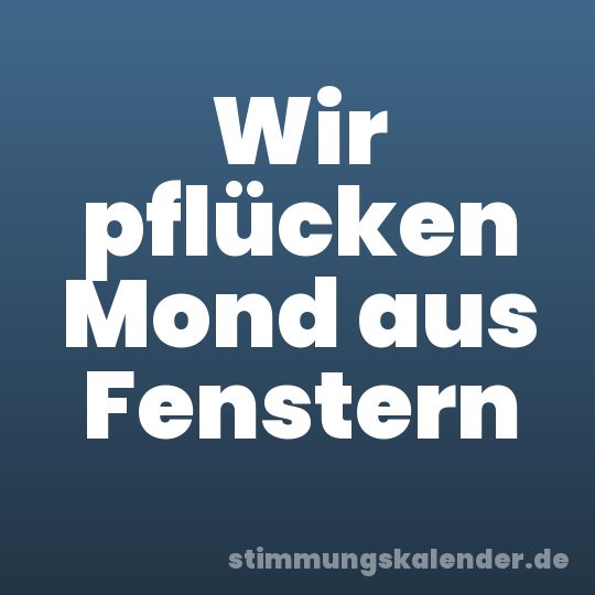 Wir pflücken Mond aus Fenstern