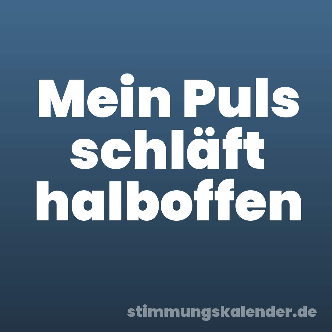 Mein Puls schläft halboffen