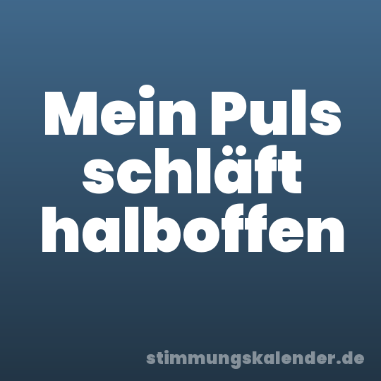Mein Puls schläft halboffen