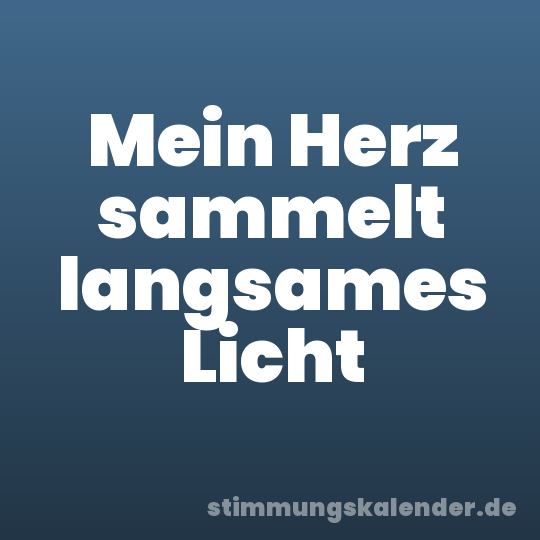 Mein Herz sammelt langsames Licht