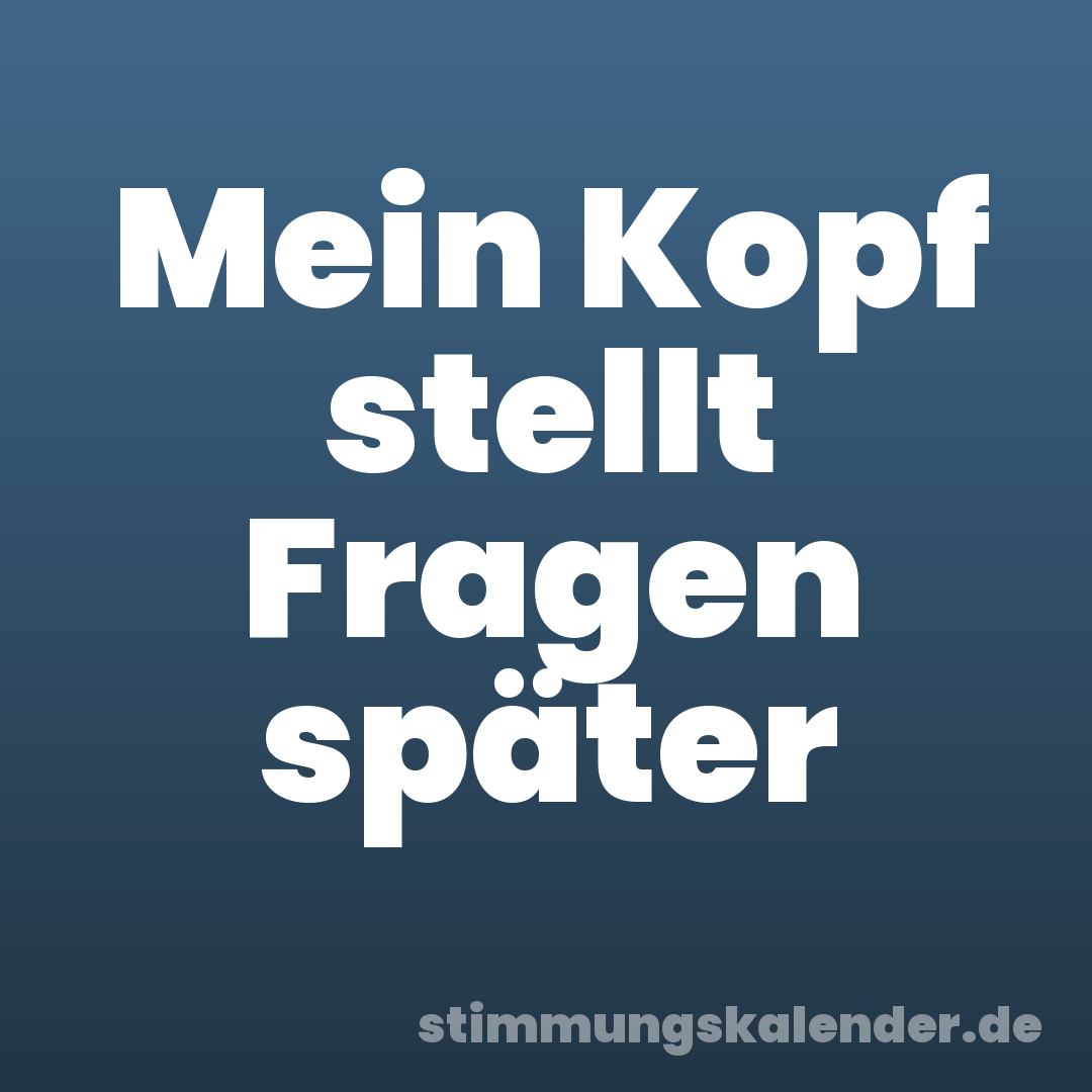 Mein Kopf stellt Fragen später