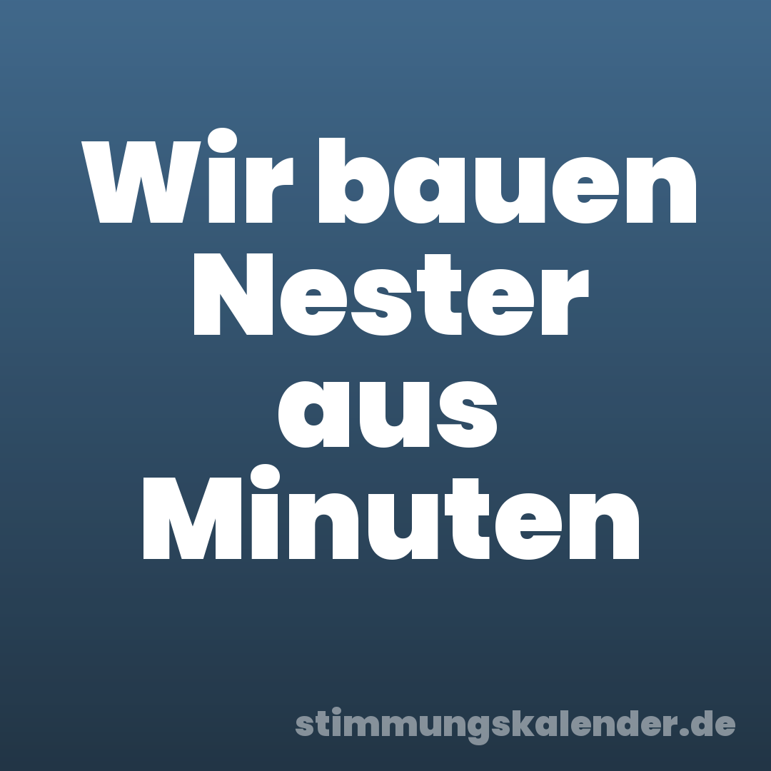 Wir bauen Nester aus Minuten