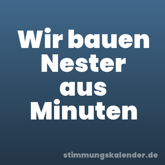 Wir bauen Nester aus Minuten