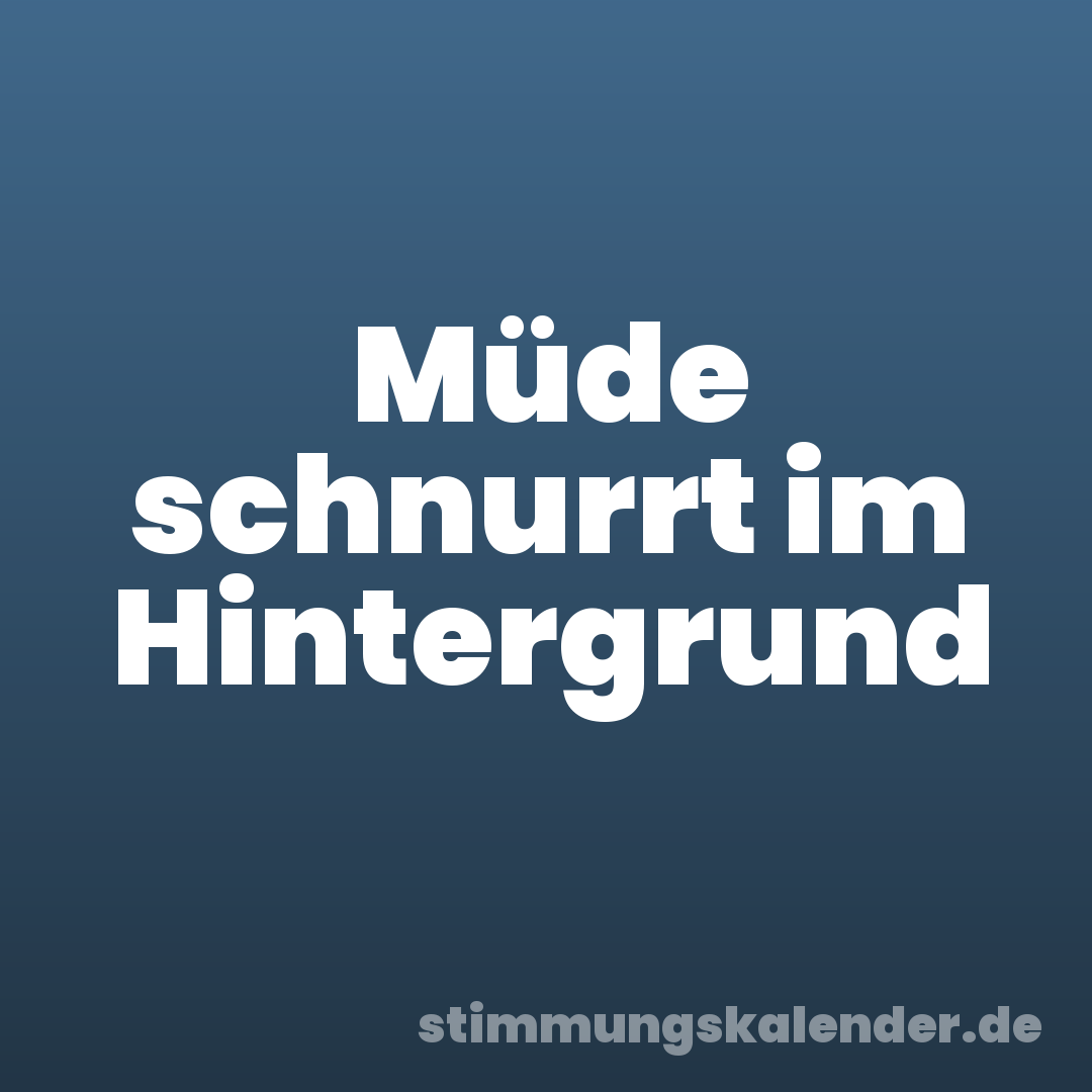 Müde schnurrt im Hintergrund