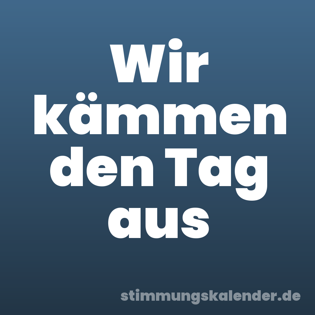 Wir kämmen den Tag aus