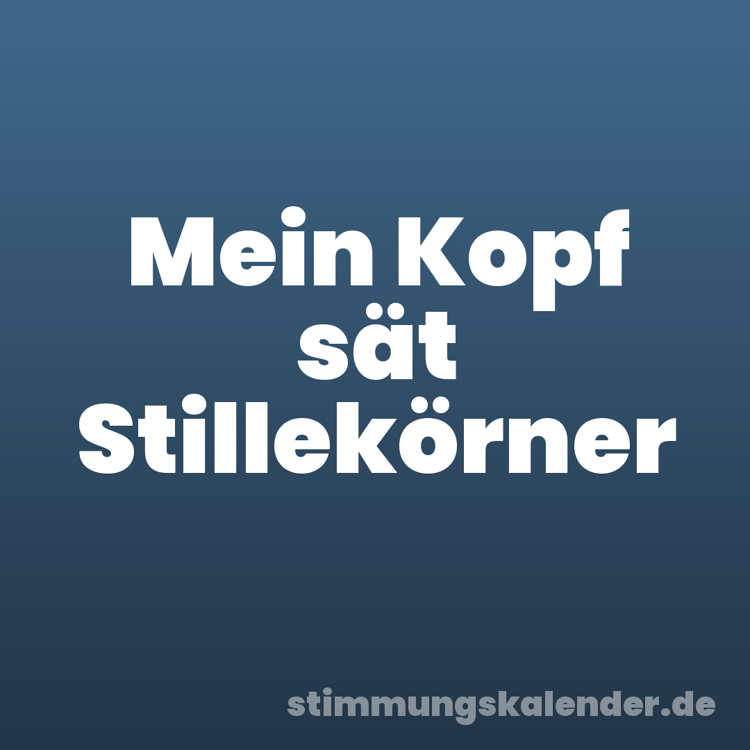 Mein Kopf sät Stillekörner
