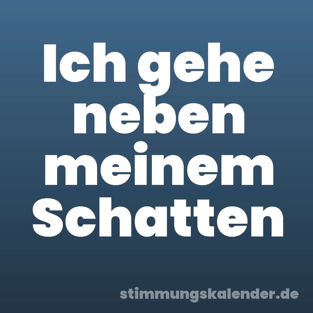 Ich gehe neben meinem Schatten