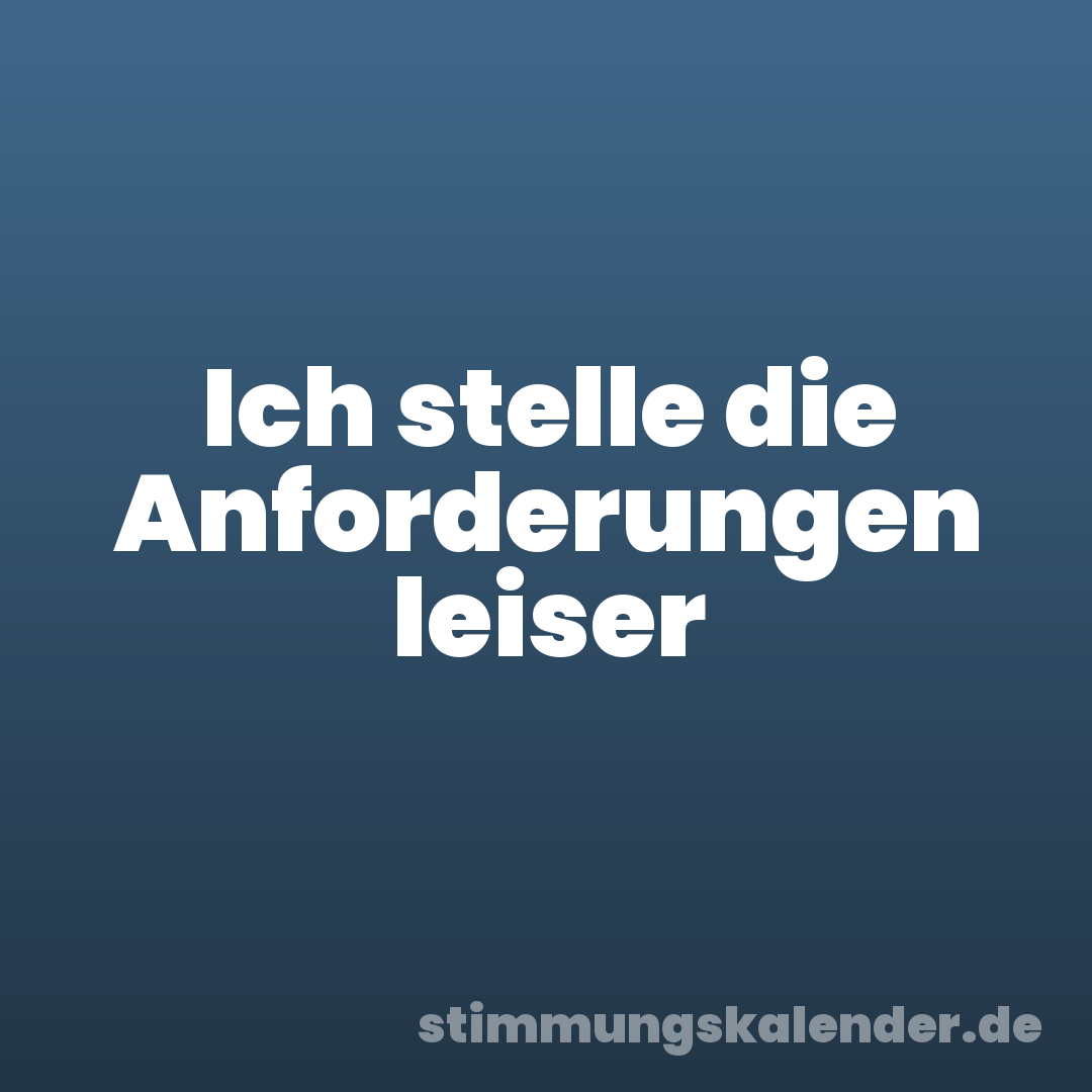 Ich stelle die Anforderungen leiser