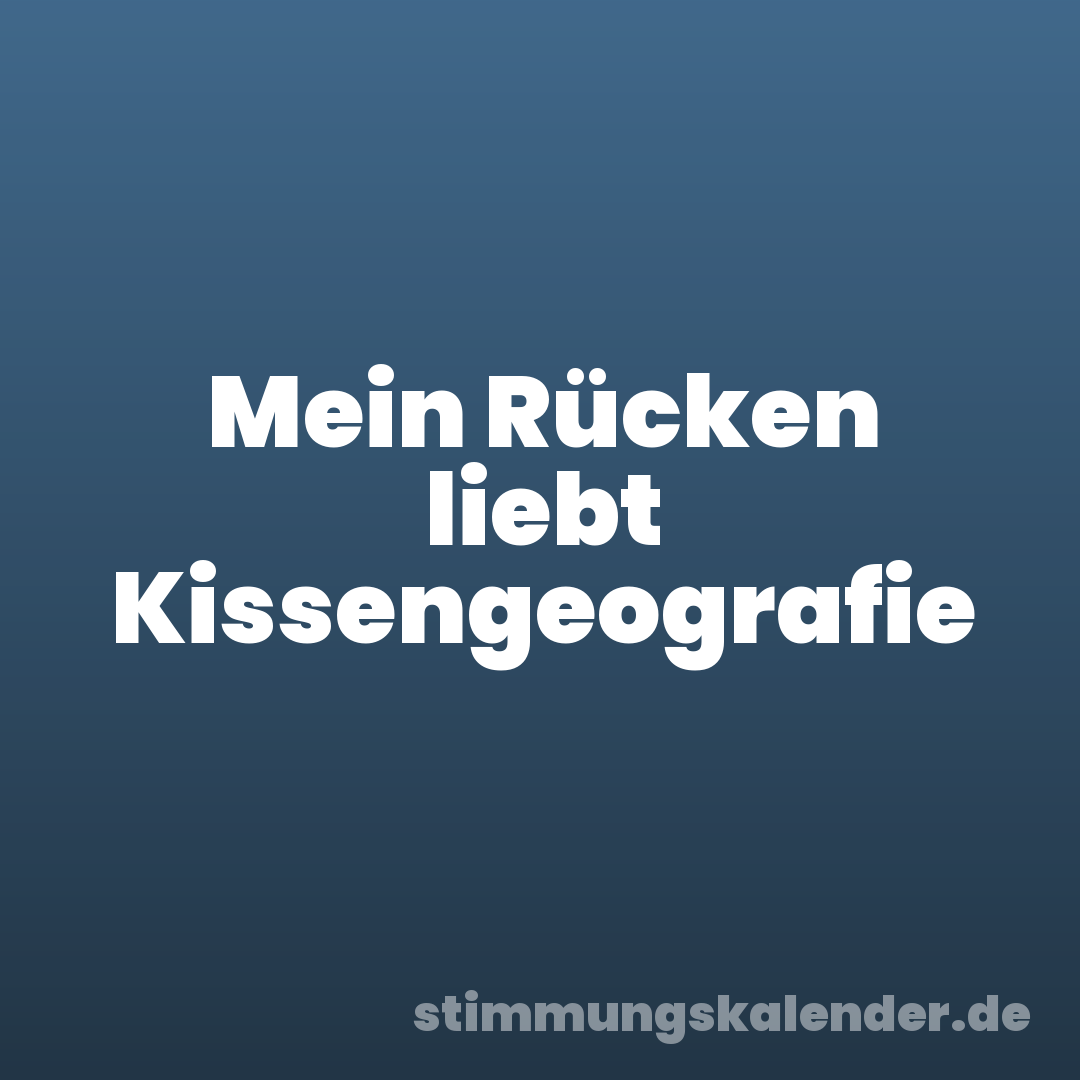 Mein Rücken liebt Kissengeografie