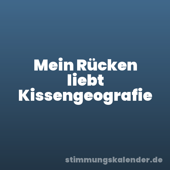 Mein Rücken liebt Kissengeografie