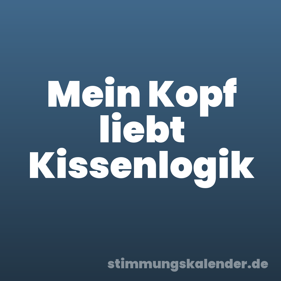 Mein Kopf liebt Kissenlogik