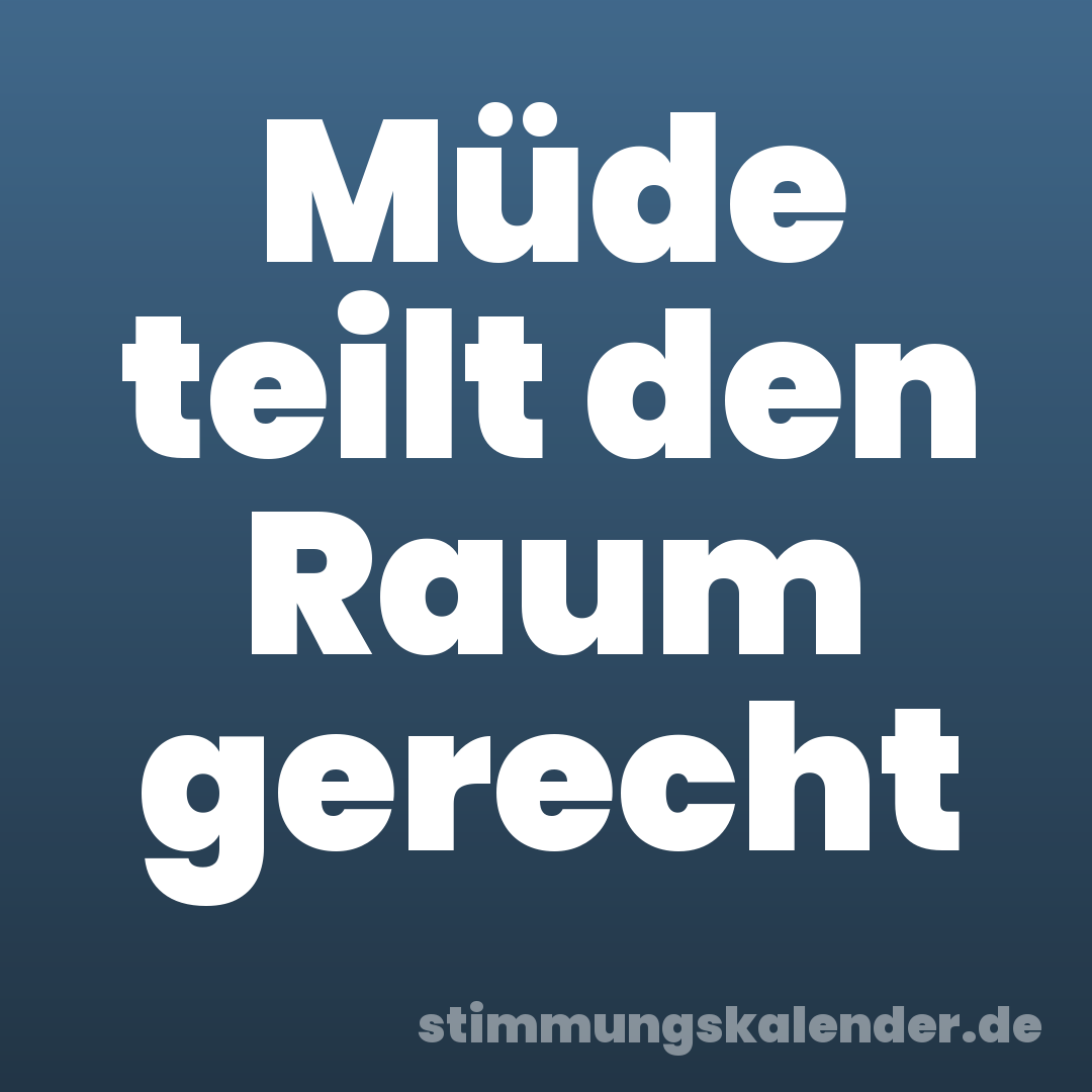 Müde teilt den Raum gerecht
