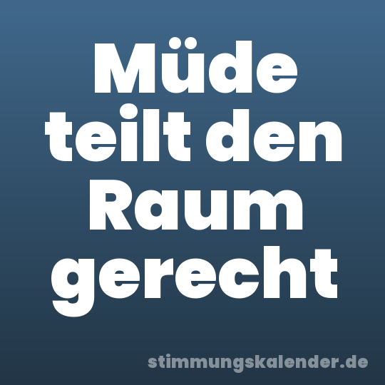 Müde teilt den Raum gerecht