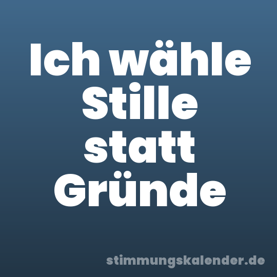 Ich wähle Stille statt Gründe