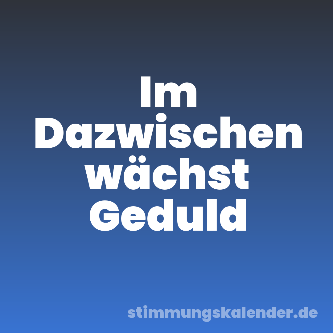 Im Dazwischen wächst Geduld