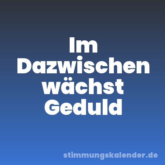 Im Dazwischen wächst Geduld