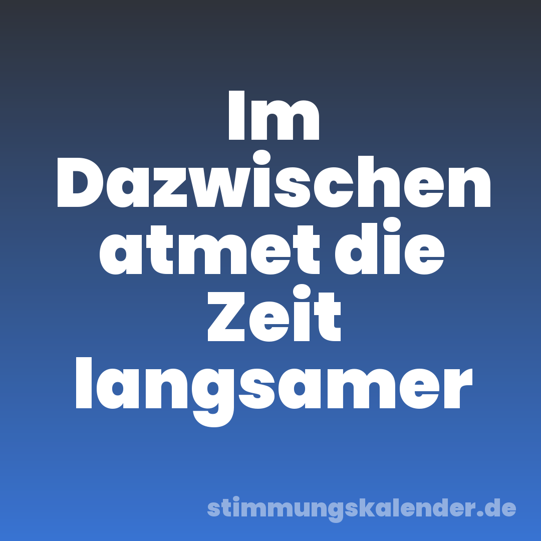 Im Dazwischen atmet die Zeit langsamer
