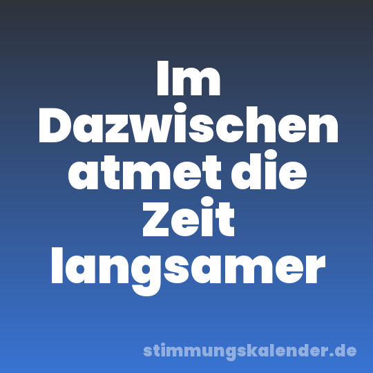 Im Dazwischen atmet die Zeit langsamer