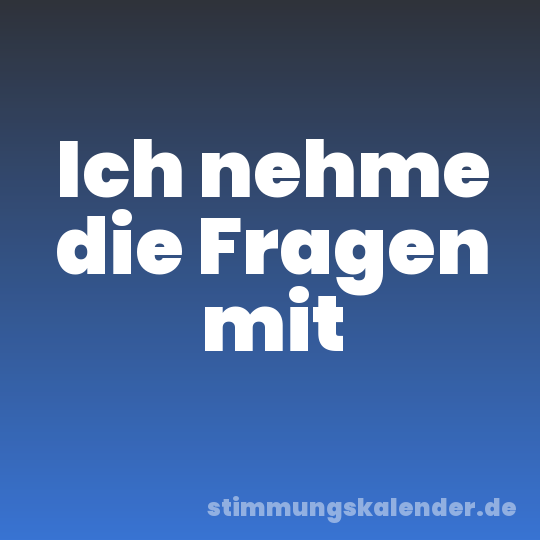 Ich nehme die Fragen mit
