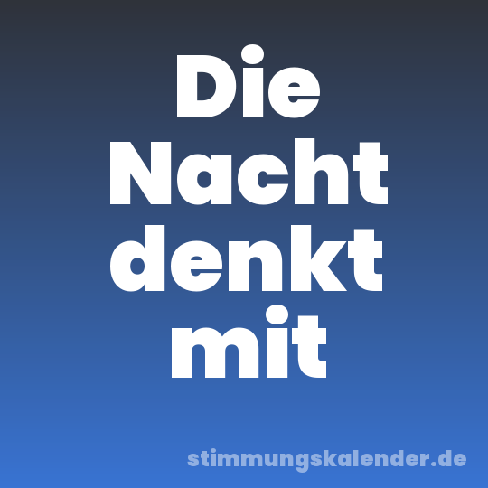 Die Nacht denkt mit