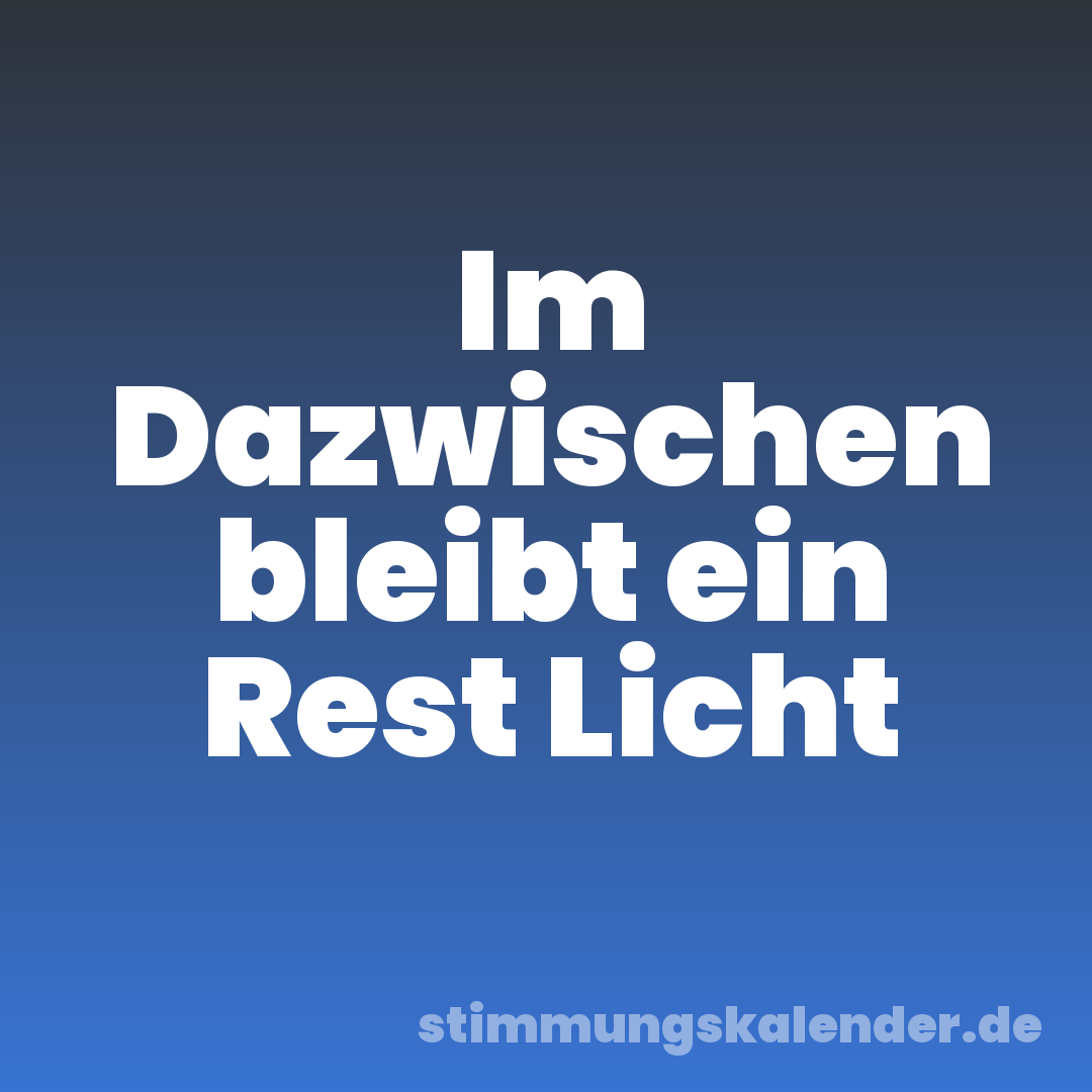 Im Dazwischen bleibt ein Rest Licht