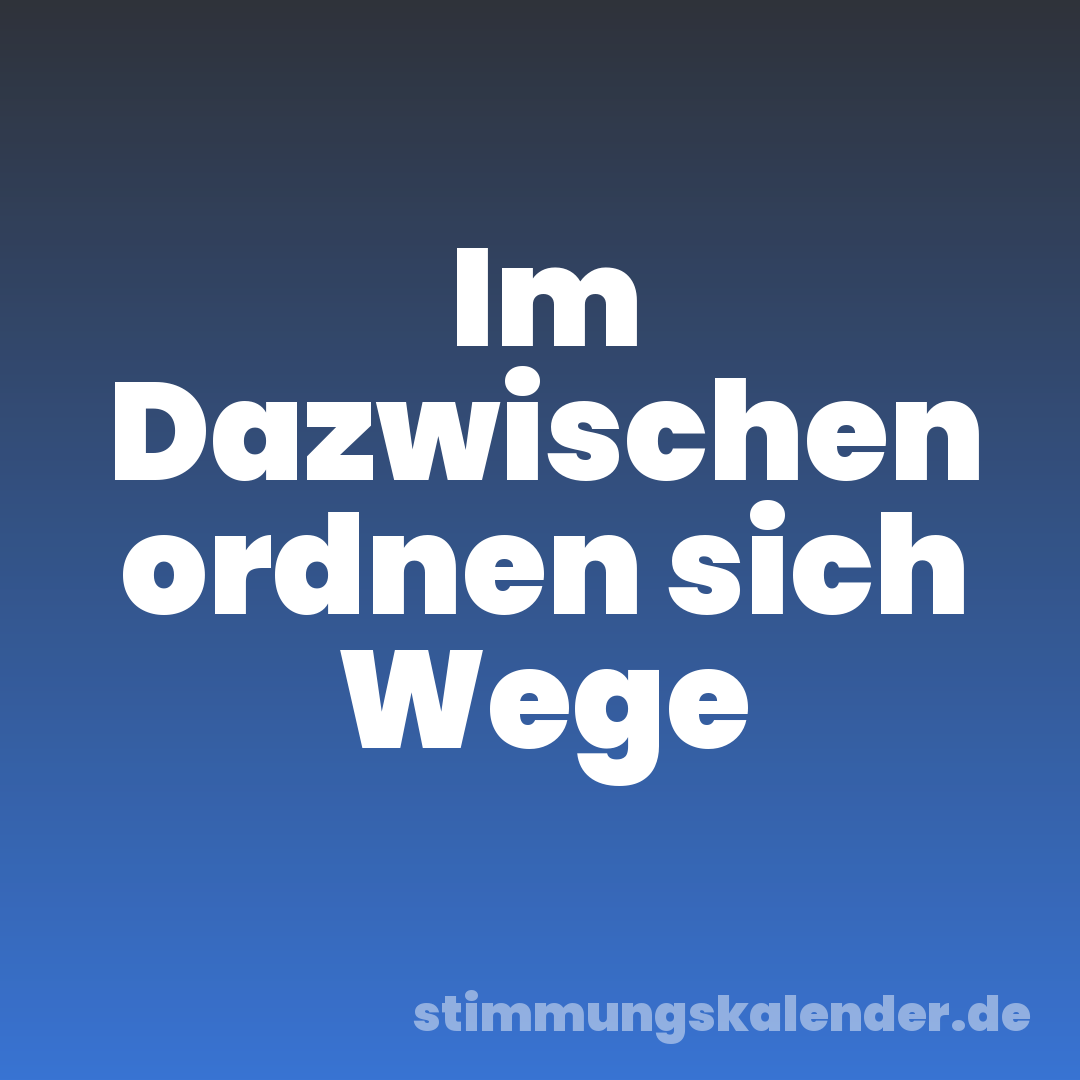 Im Dazwischen ordnen sich Wege