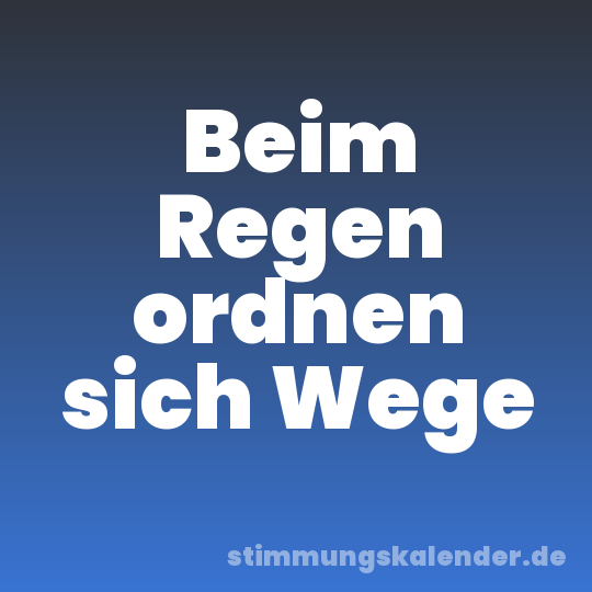 Beim Regen ordnen sich Wege