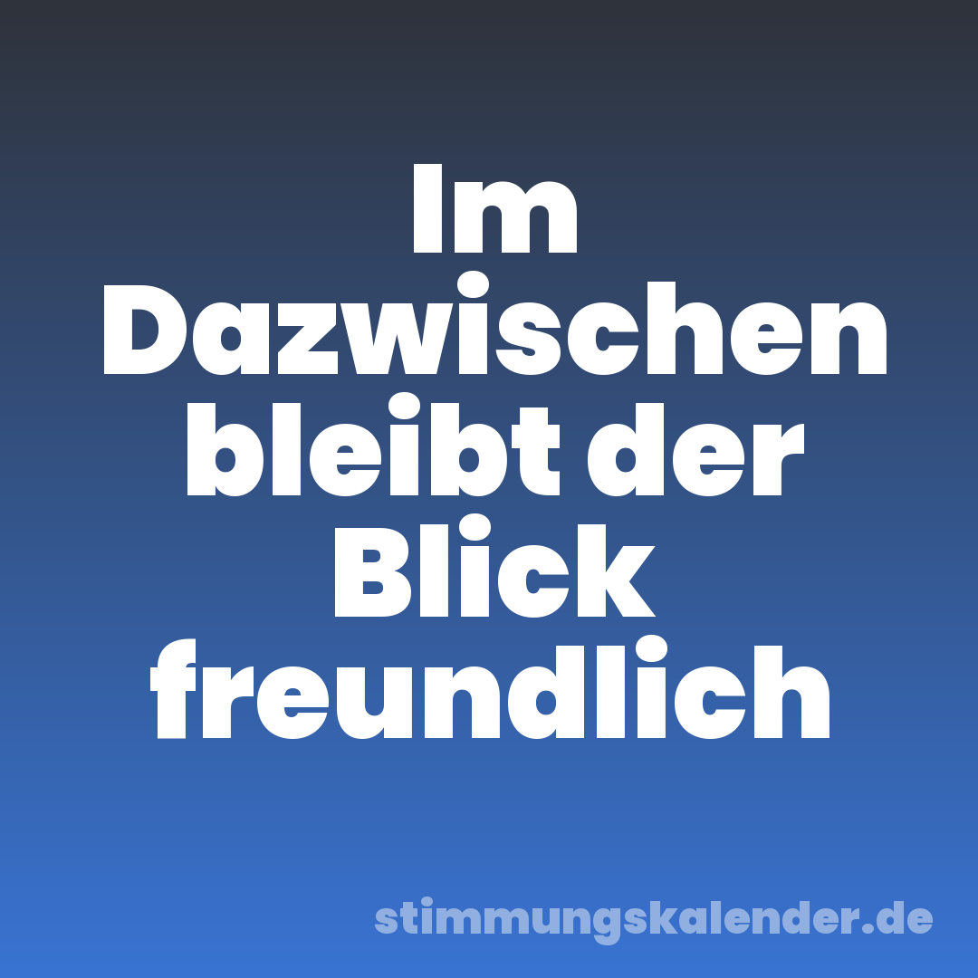 Im Dazwischen bleibt der Blick freundlich