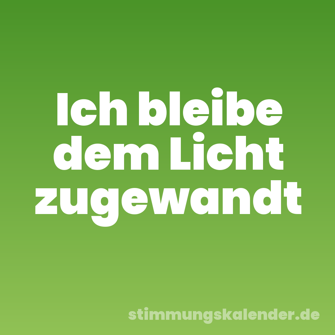 Ich bleibe dem Licht zugewandt