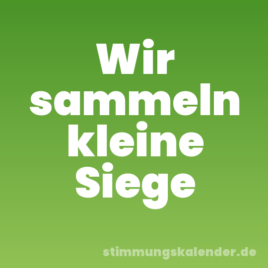 Wir sammeln kleine Siege