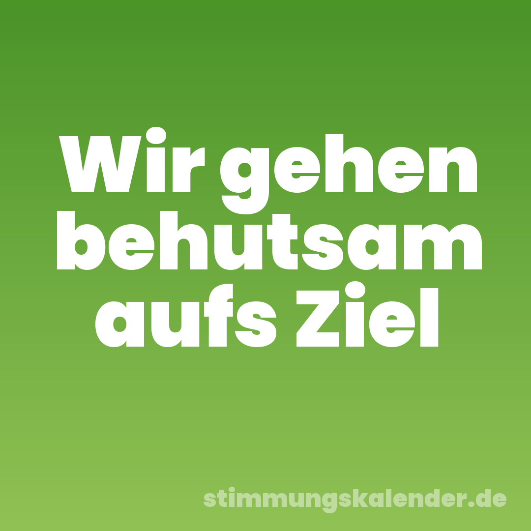 Wir gehen behutsam aufs Ziel