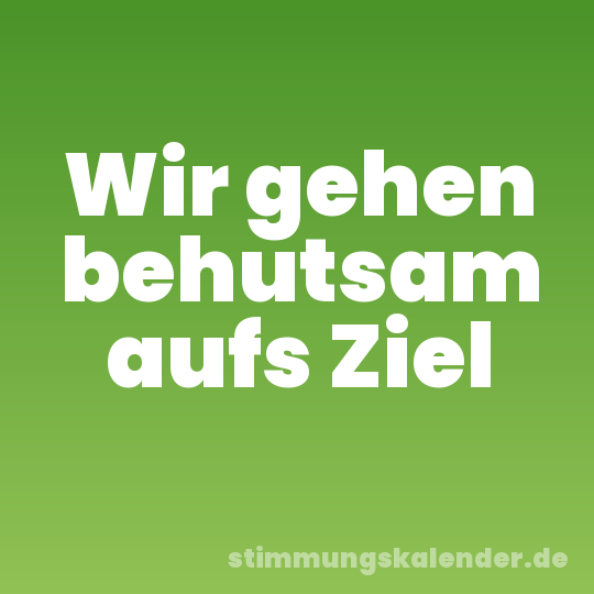 Wir gehen behutsam aufs Ziel