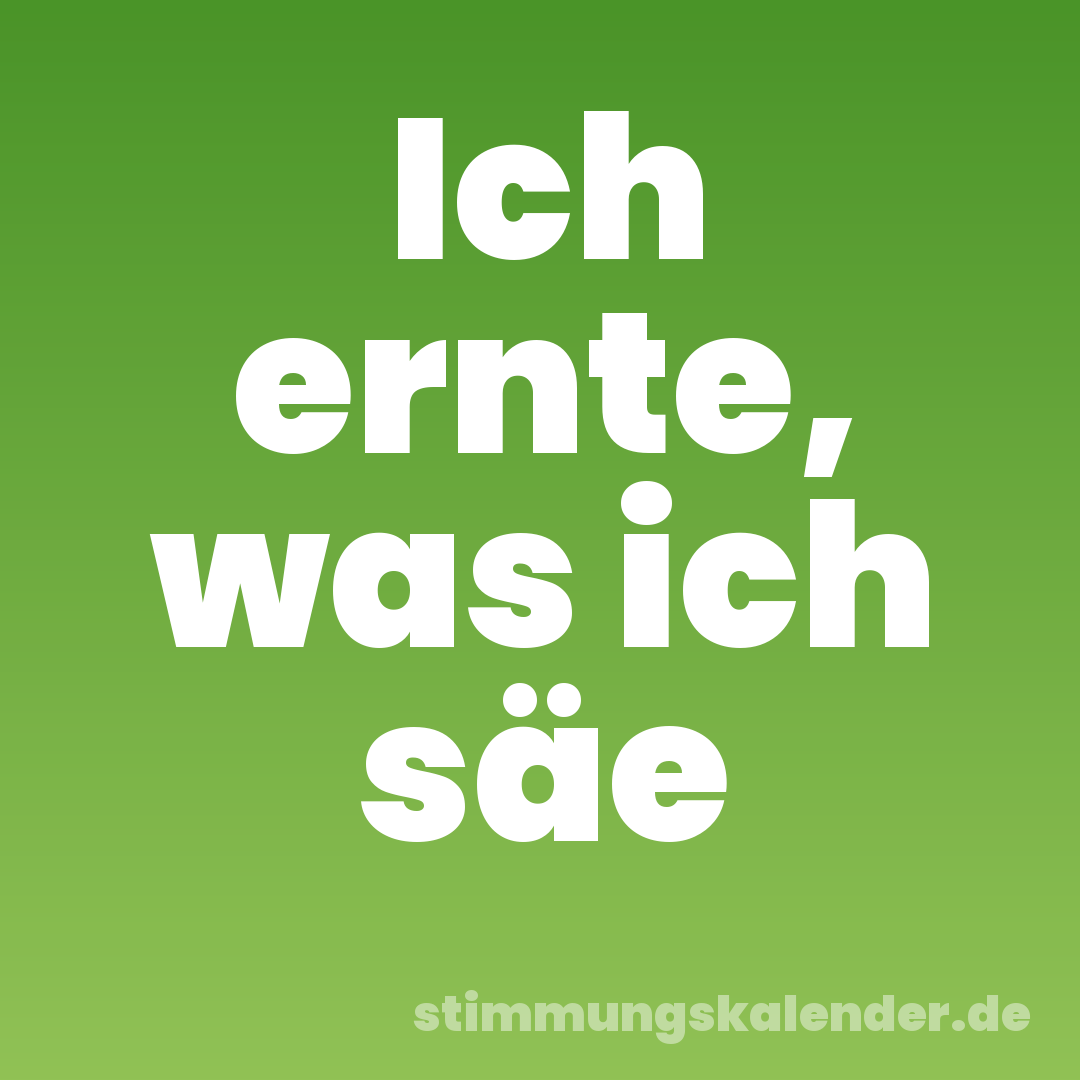Ich ernte, was ich säe