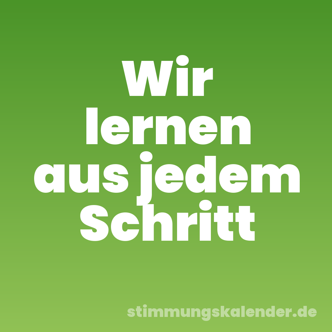 Wir lernen aus jedem Schritt