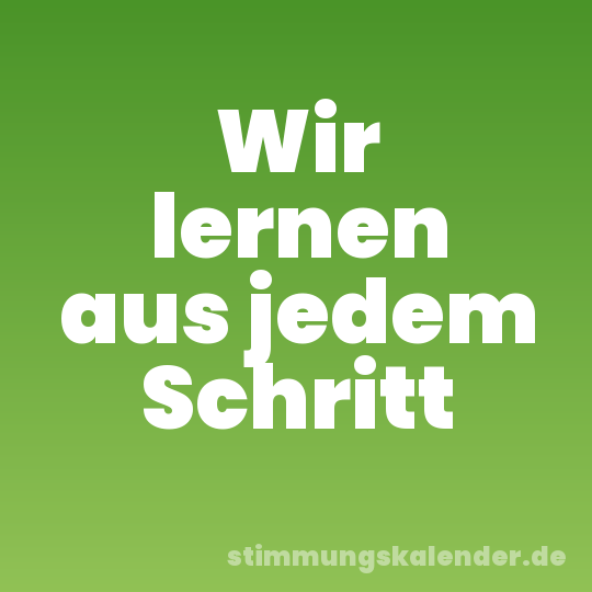 Wir lernen aus jedem Schritt